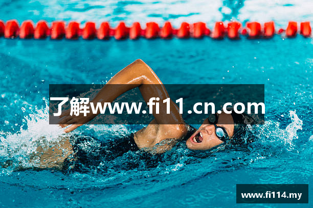 了解www.fi11.cn.com